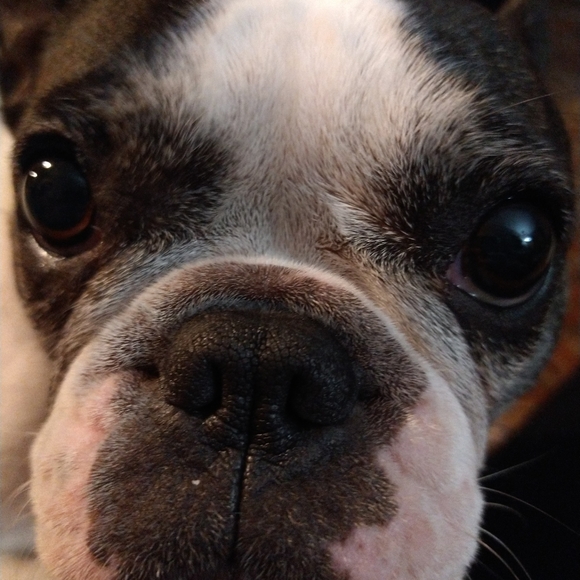 Meet your Posher, Jennifer - Picture 9 of 16